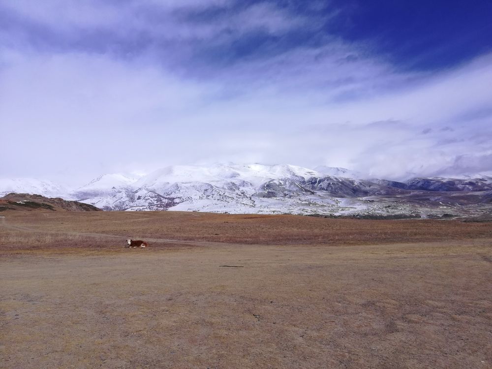 Photograph by Анна Илюхина