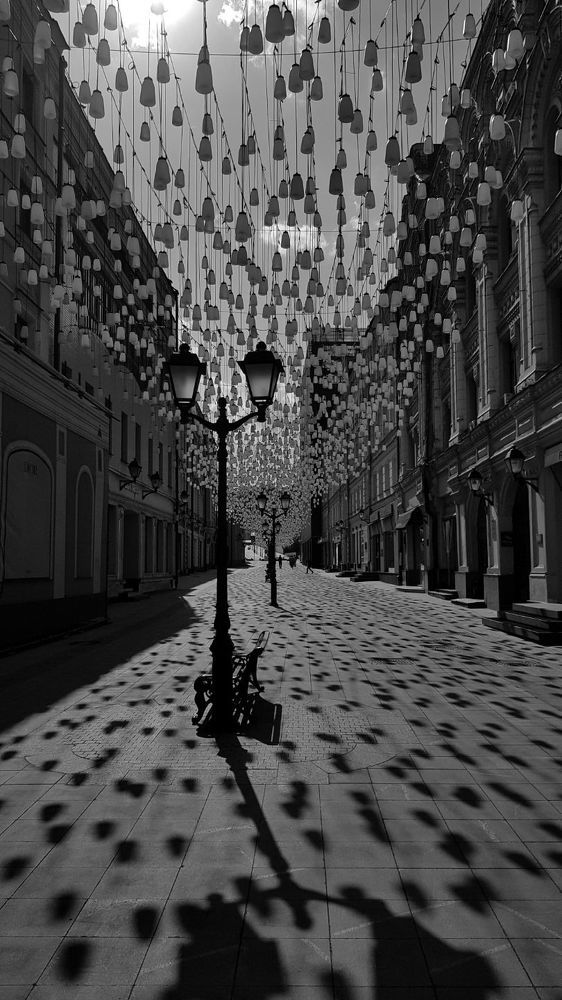 Photograph by Вероника Моторина