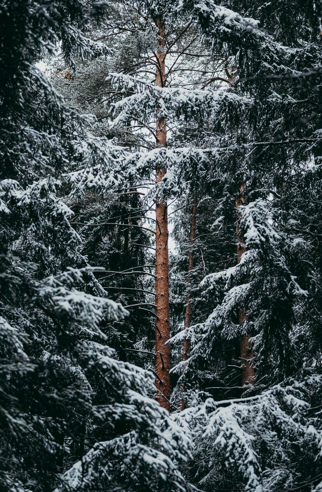 Photograph by Эдгар Черкасов