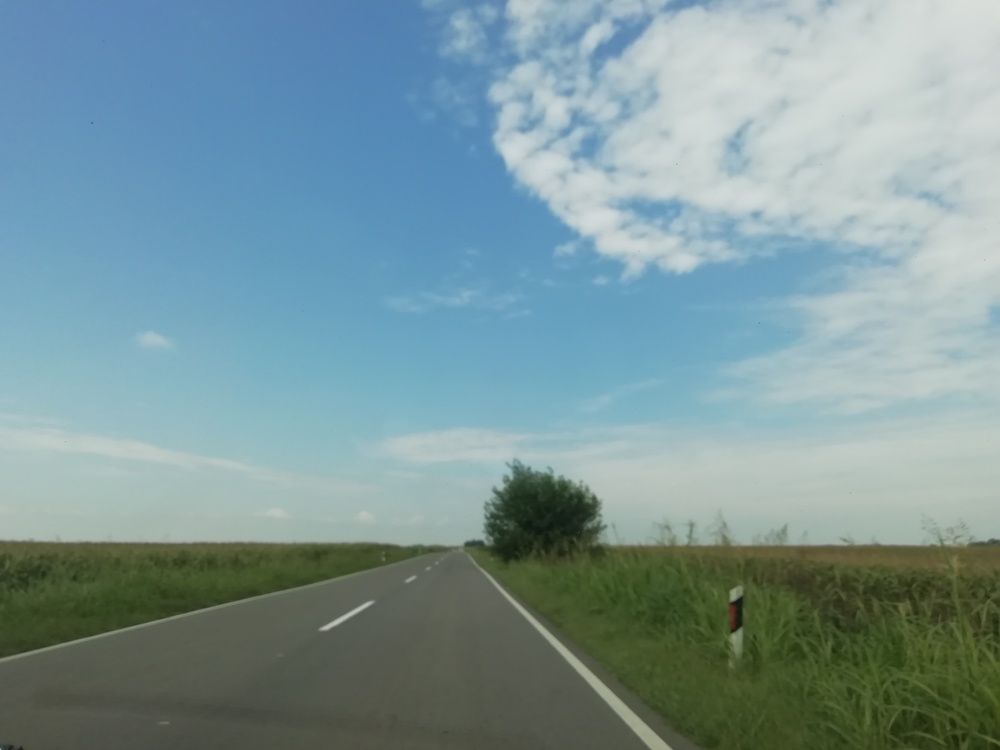 Photograph by Sanja Dabić