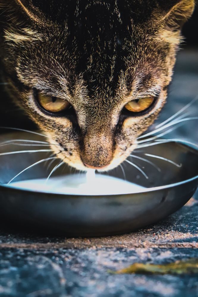 Photograph by Vaibhav Tembhare