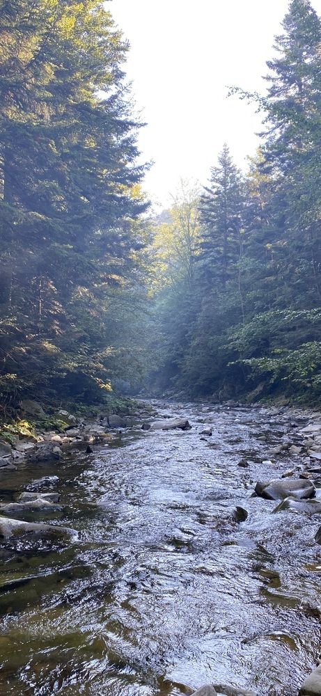 Photograph by Татьяна Самутина