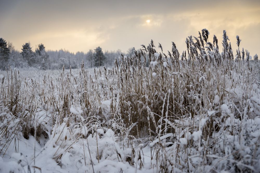 Photograph by Татьяна Линник