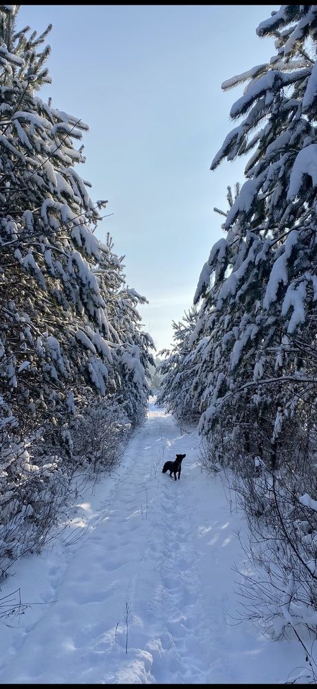 Photograph by Татьяна Самутина