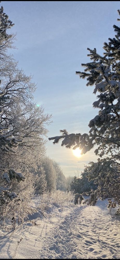 Photograph by Татьяна Самутина