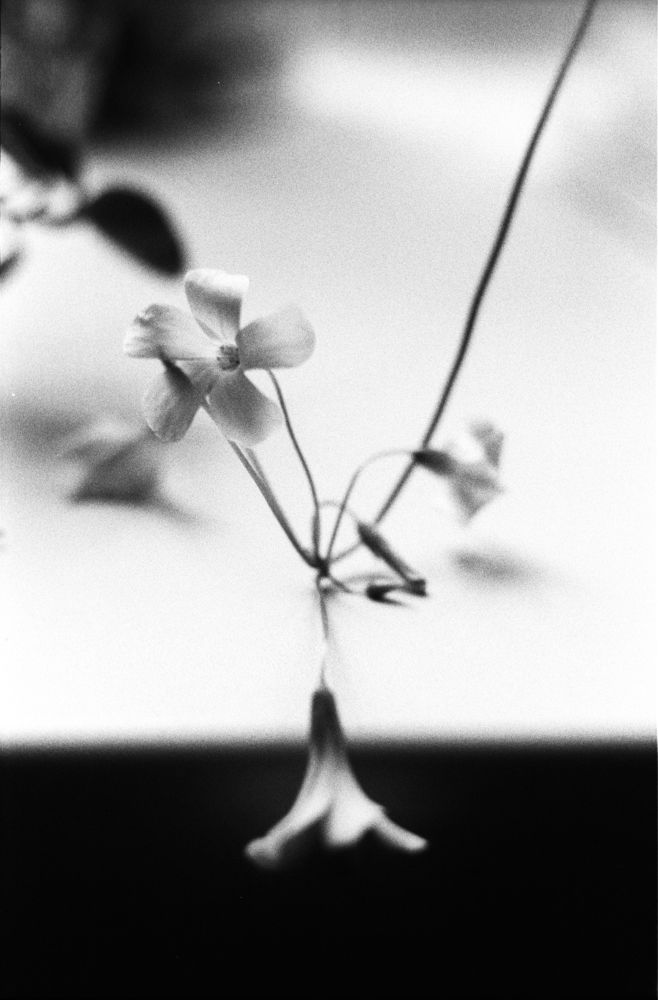 Photograph by Ульяна