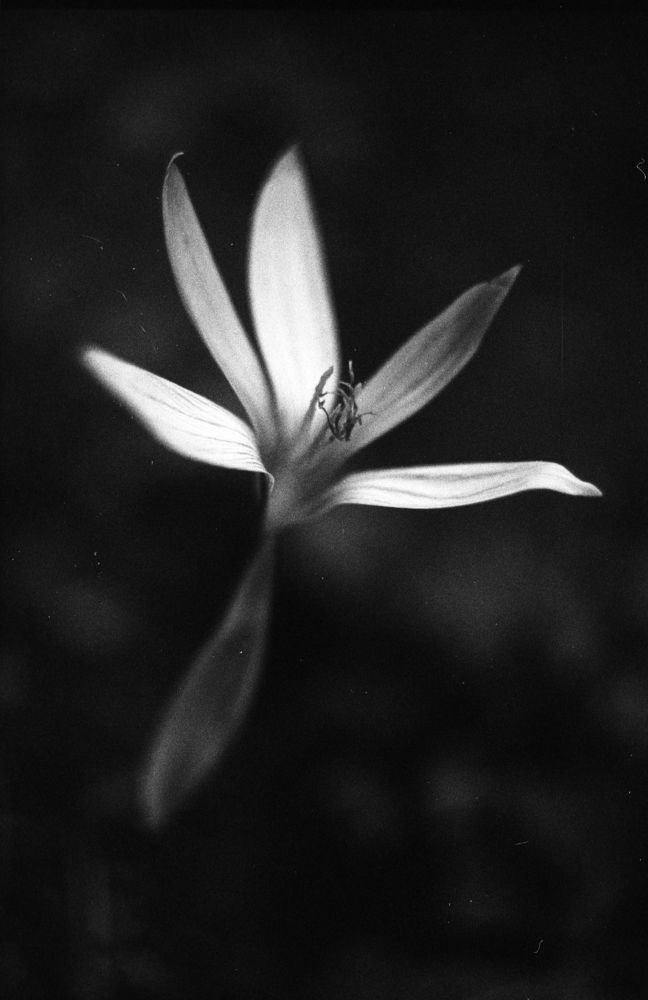 Photograph by Ульяна