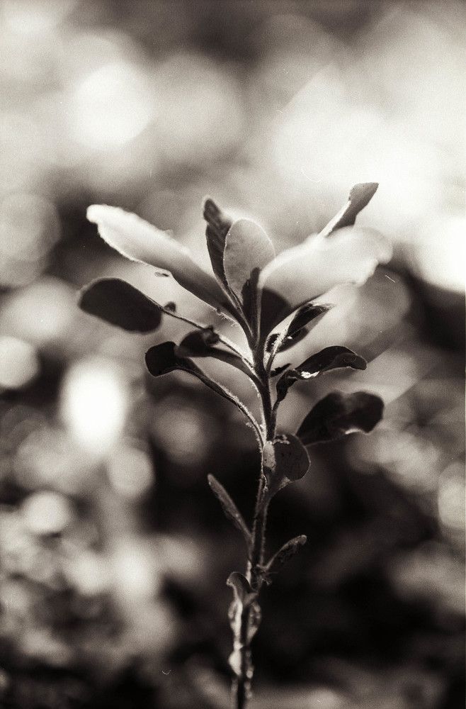 Photograph by Ульяна