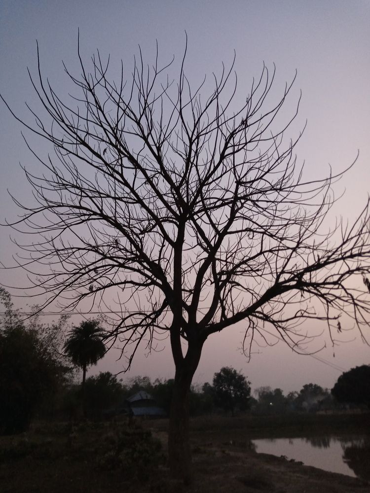 Photo #5729660