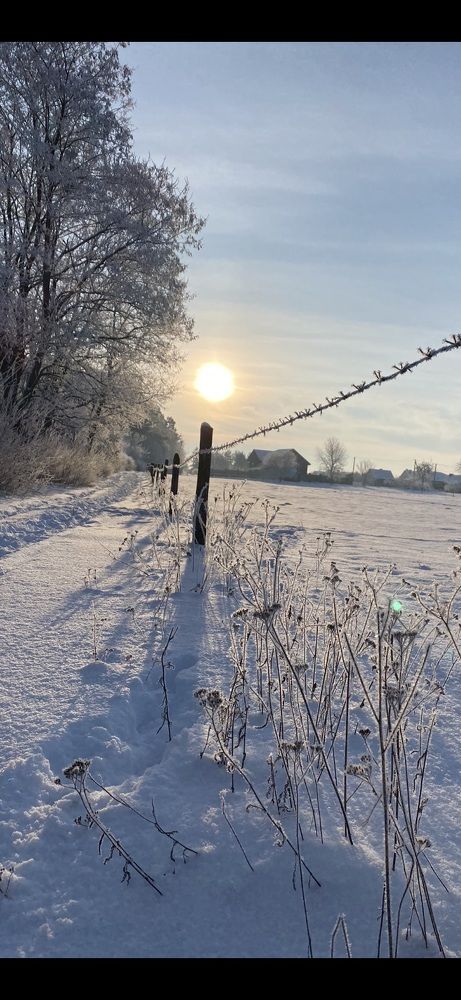 Photograph by Татьяна Самутина