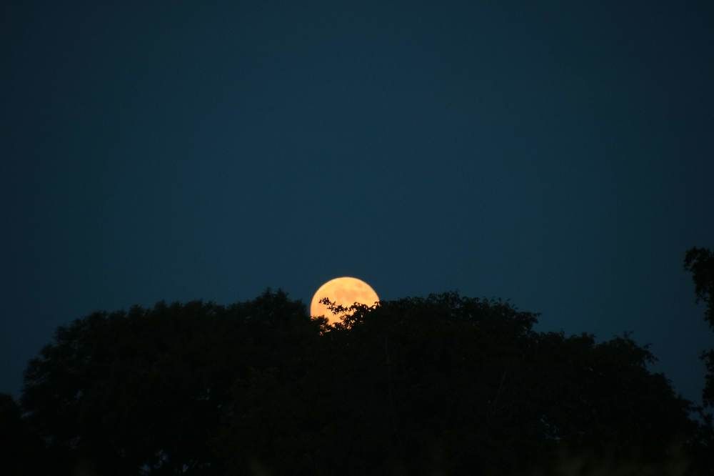 Photograph by François Mastrorilli