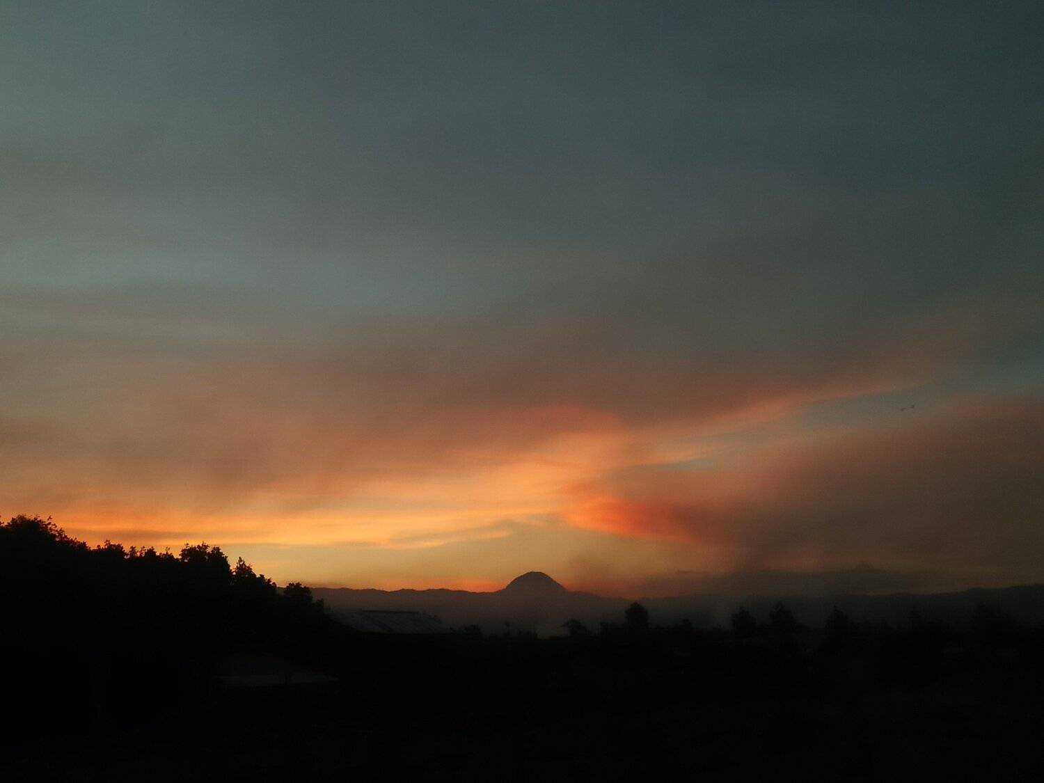 Photo #5729693