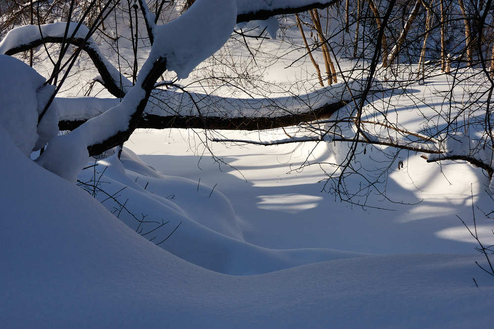 Photograph by Владимир
