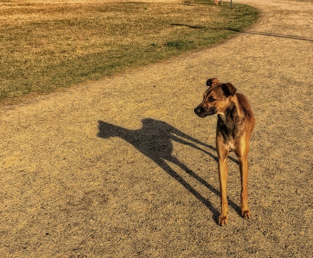 Photograph by Viviana García