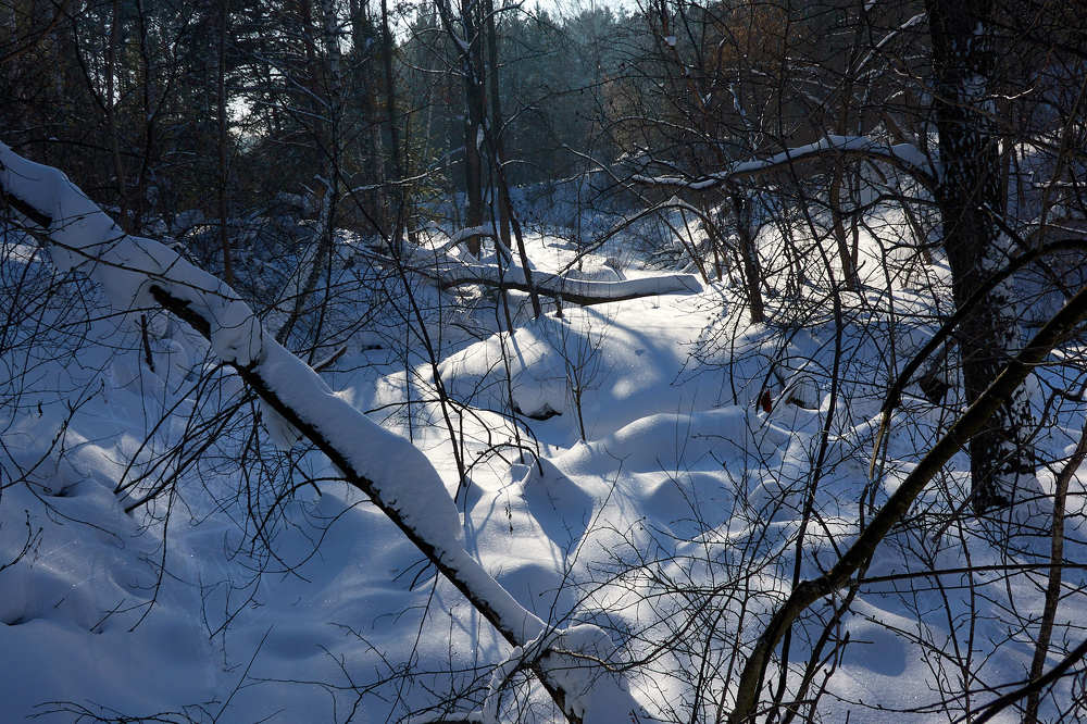 Photograph by Владимир