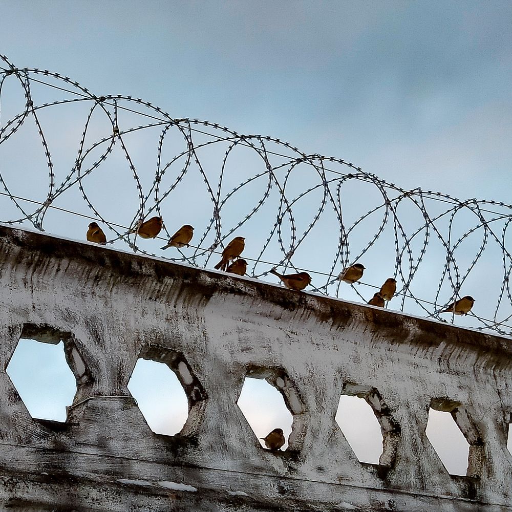 Photograph by Антон Щелкунов