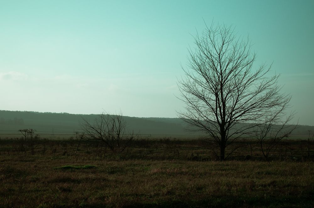 Photograph by Антон Щелкунов