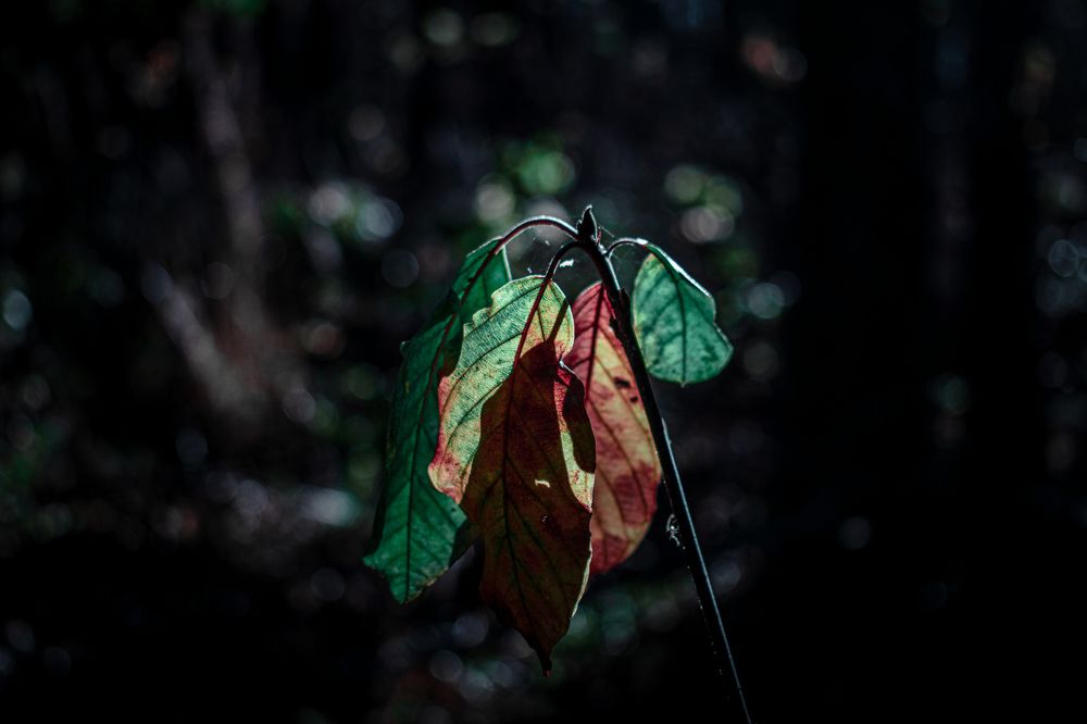 Photograph by Антон Щелкунов