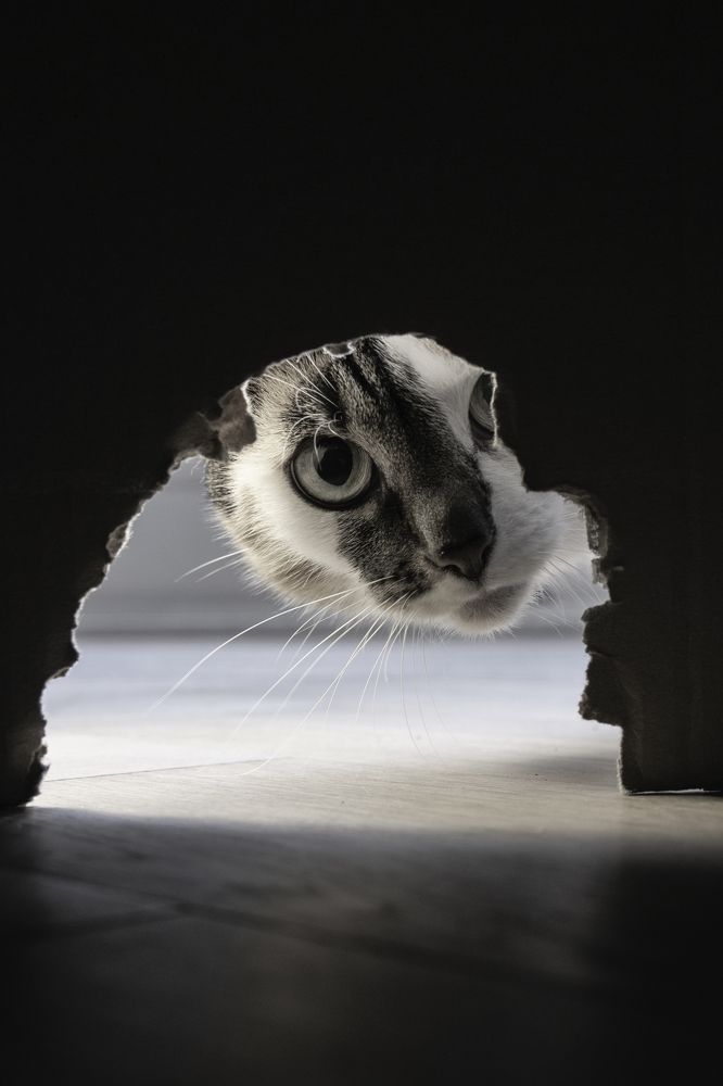 Photograph by Anouk Johnson