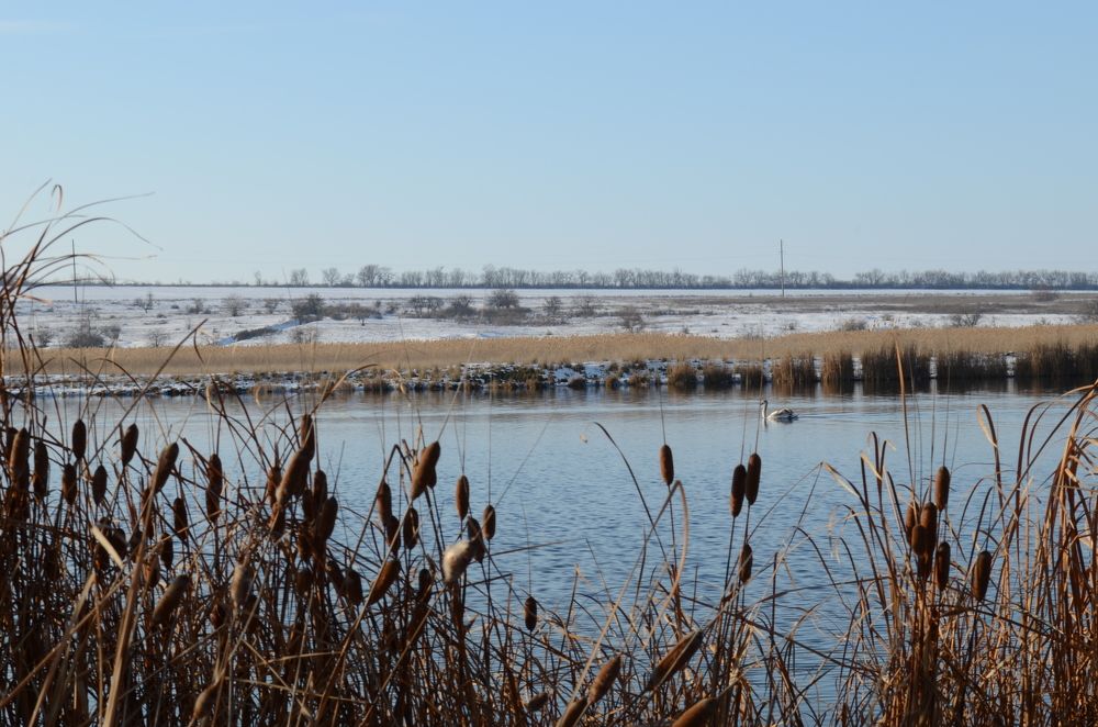 Photograph by Валерия Мандрика