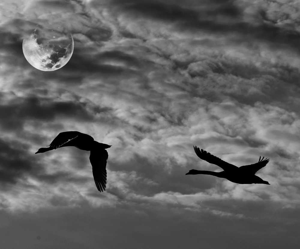 Photograph by Виктория