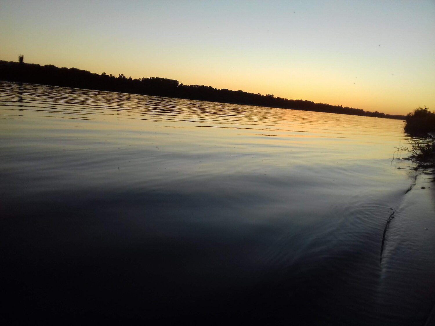 Photo #5730005