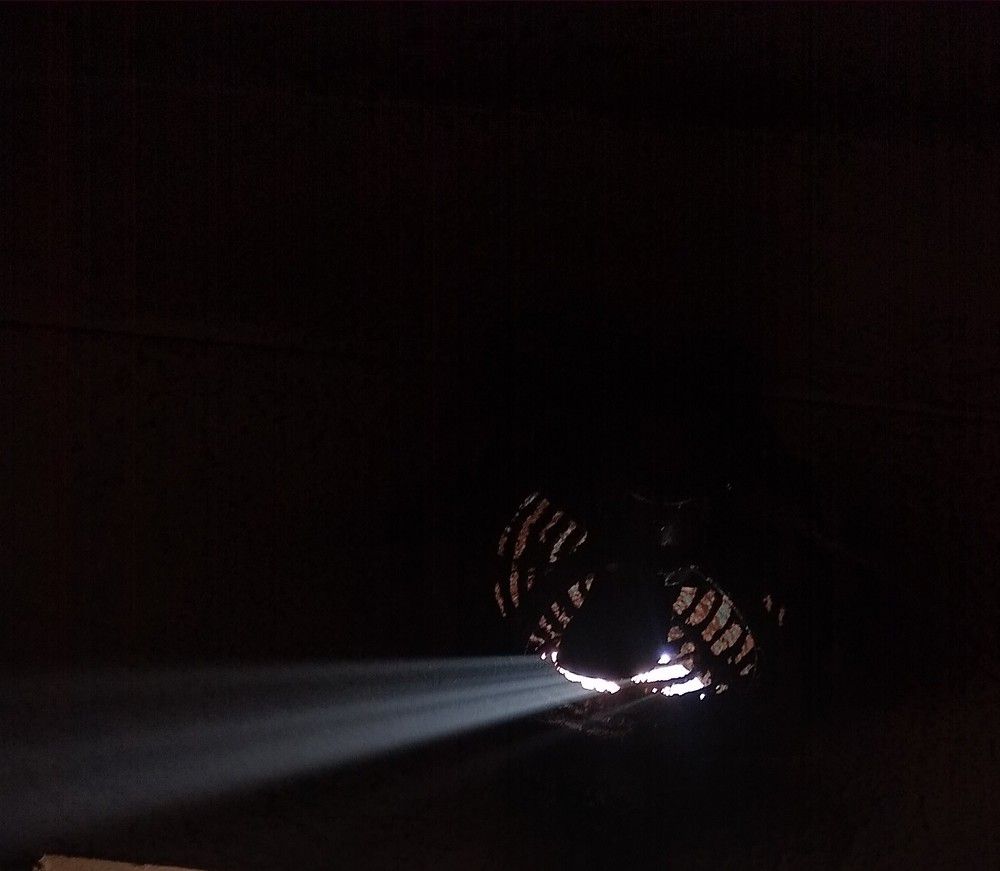 Photo #5730012