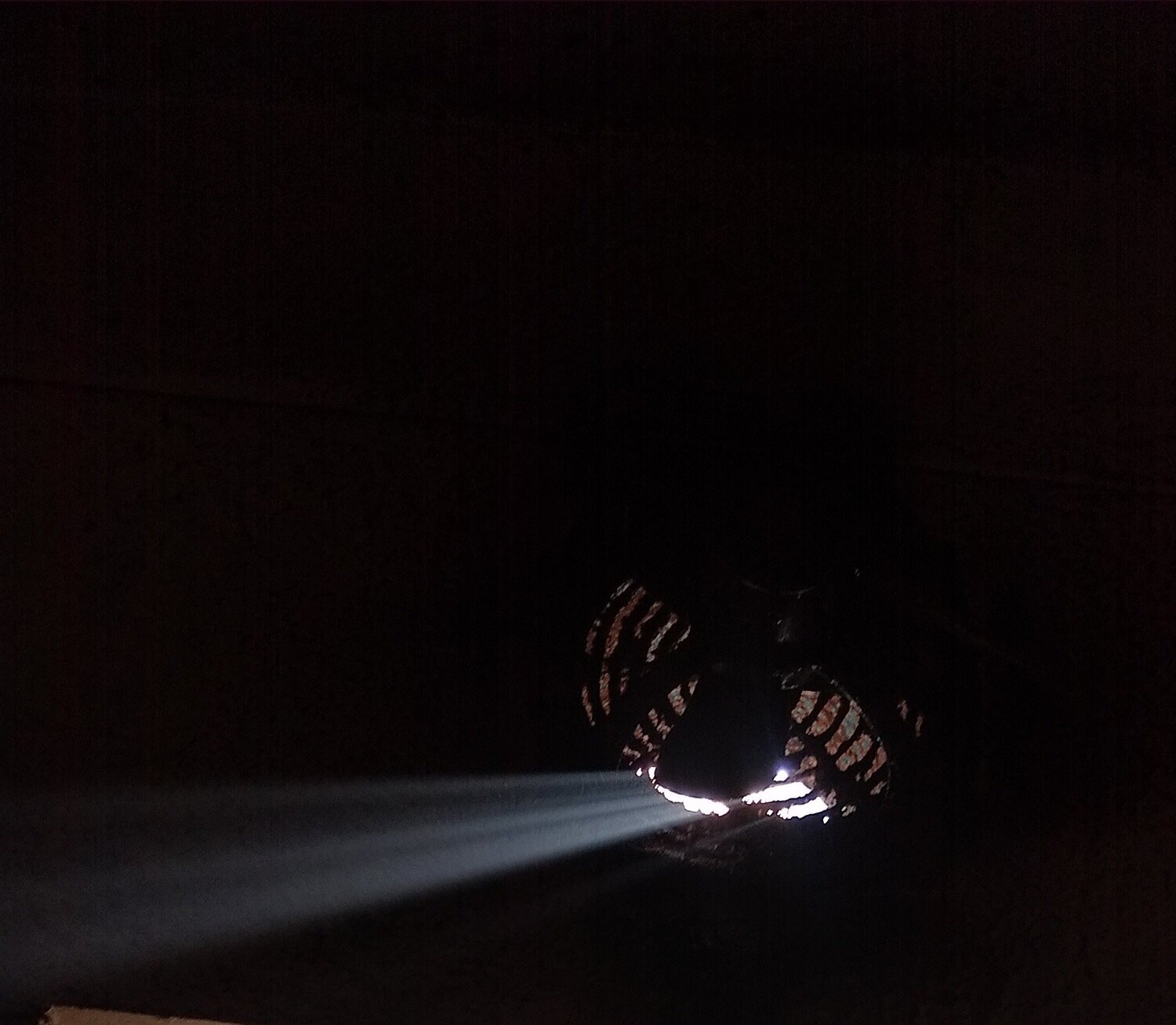 Photo #5730012
