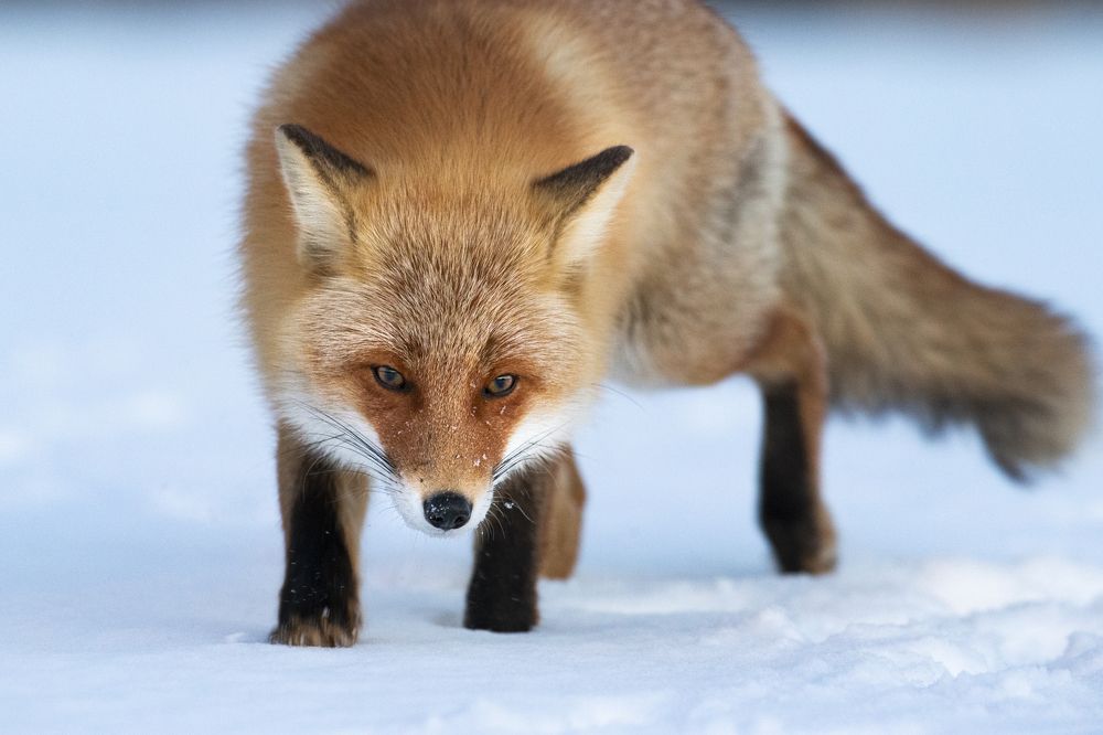 Photograph by W Shan