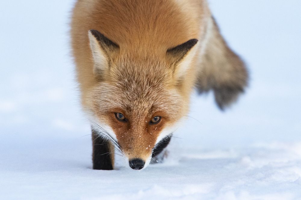 Photograph by W Shan