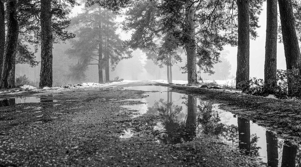 Фотография автора Александр Буренко