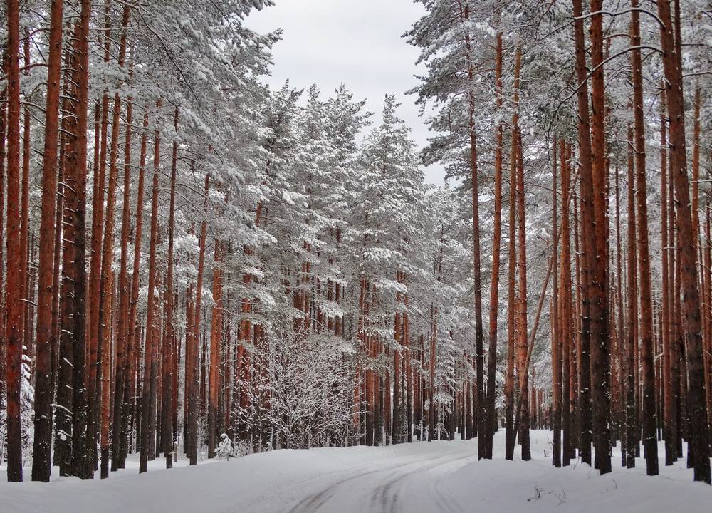 Photograph by Павел Васильев