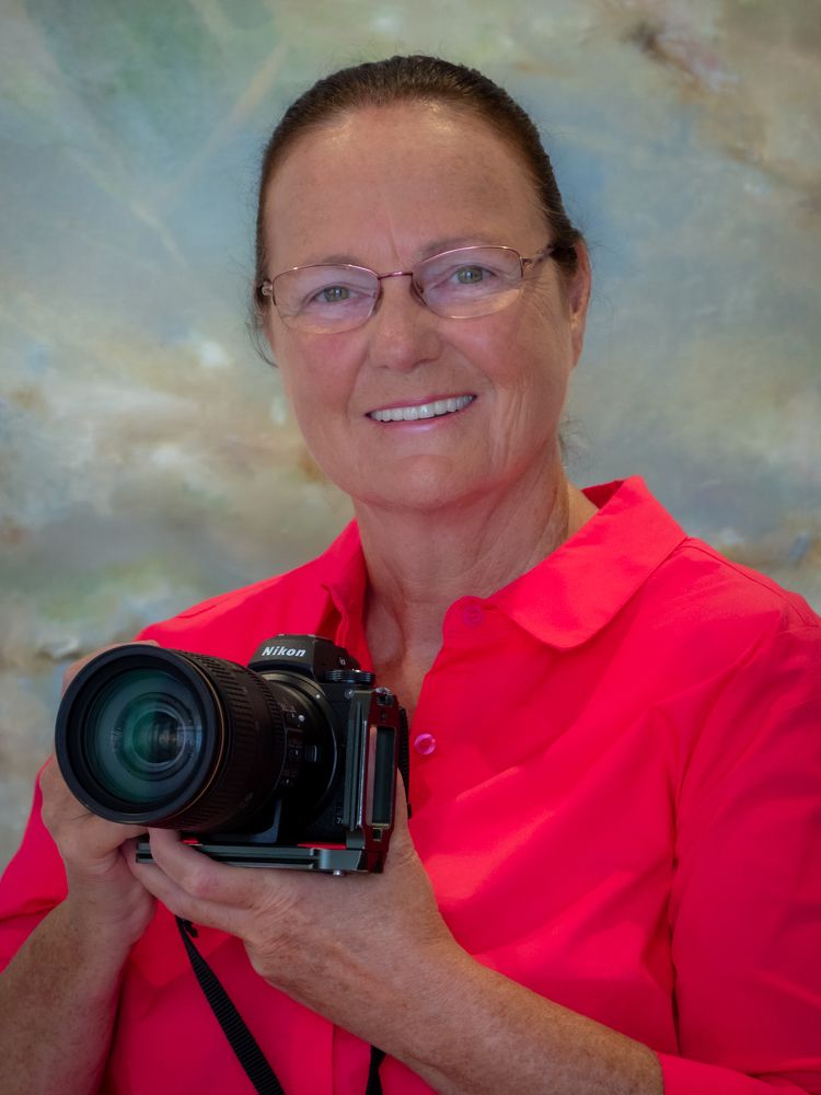 Photograph by wendy klein