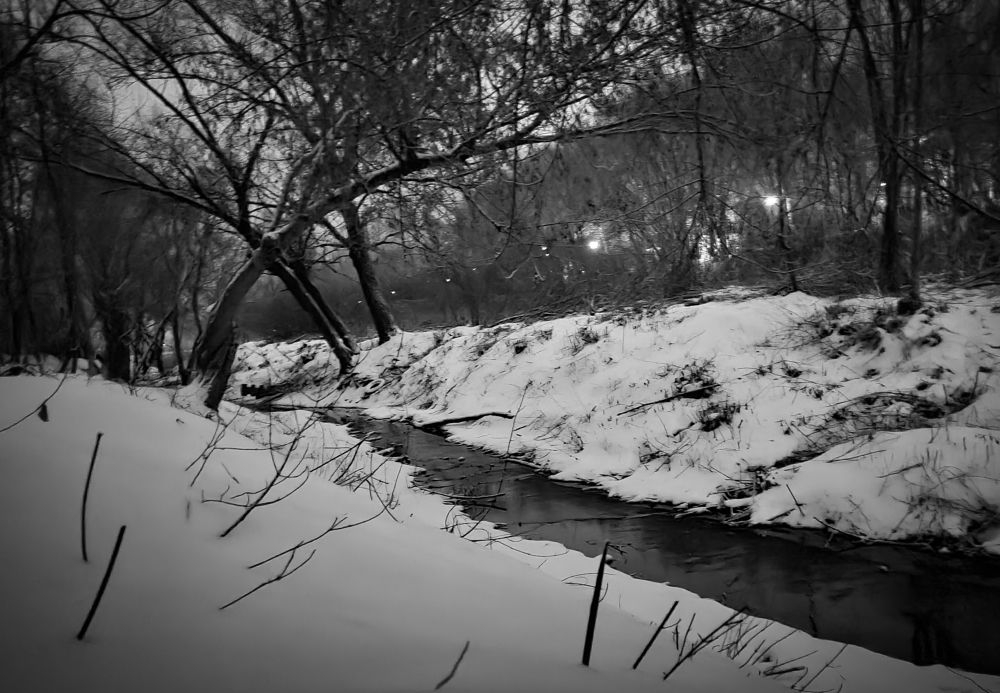 Photograph by Anastasiia