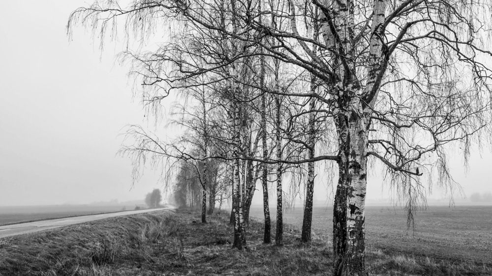 Фотография автора Александр Буренко