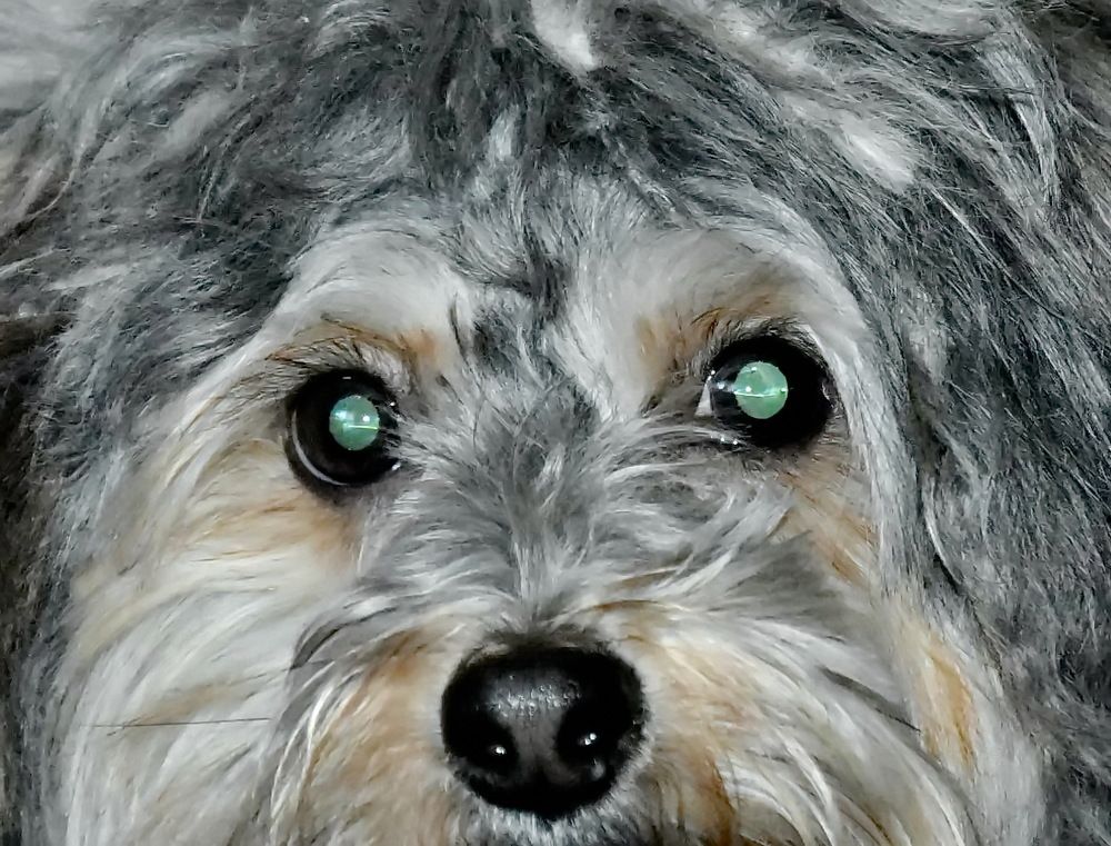 Photograph by НИНА АВЕРЬЯНОВА