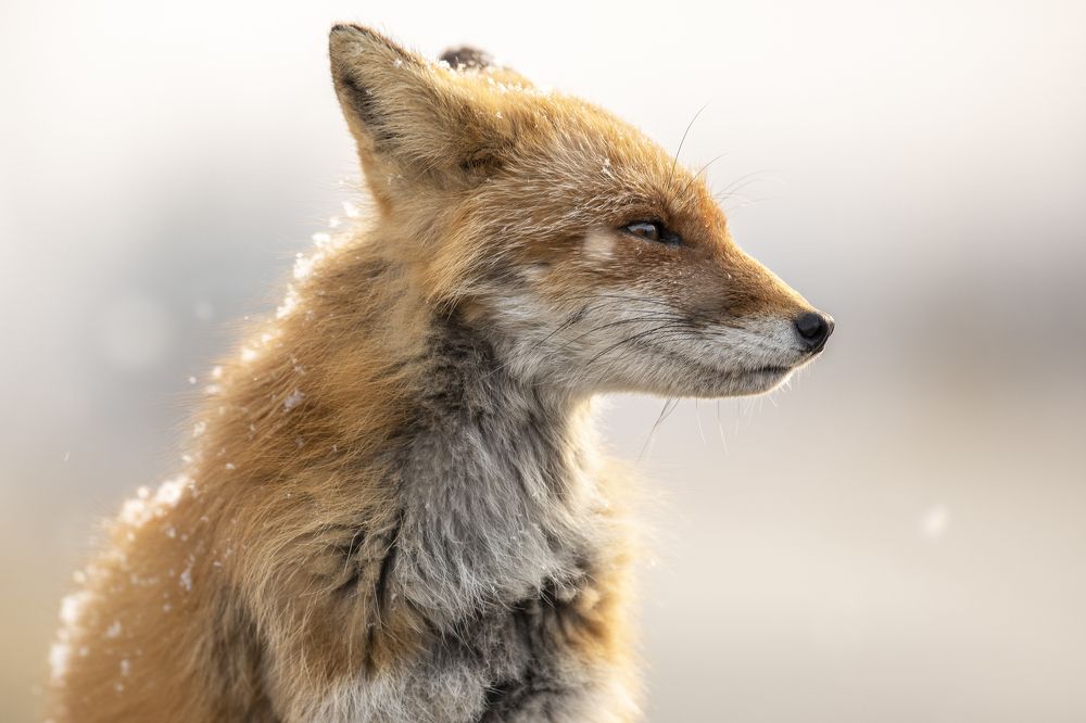 Photograph by W Shan