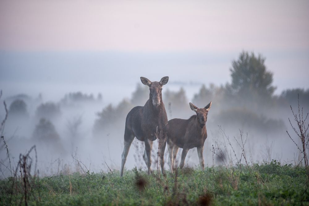 У истоков силы