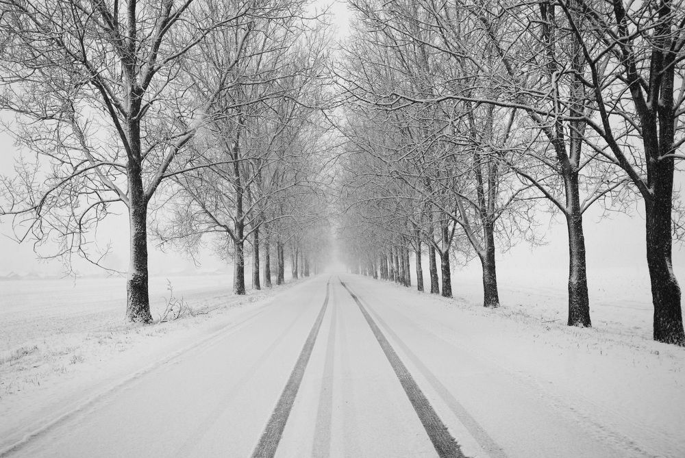 Фотография автора Александр Буренко