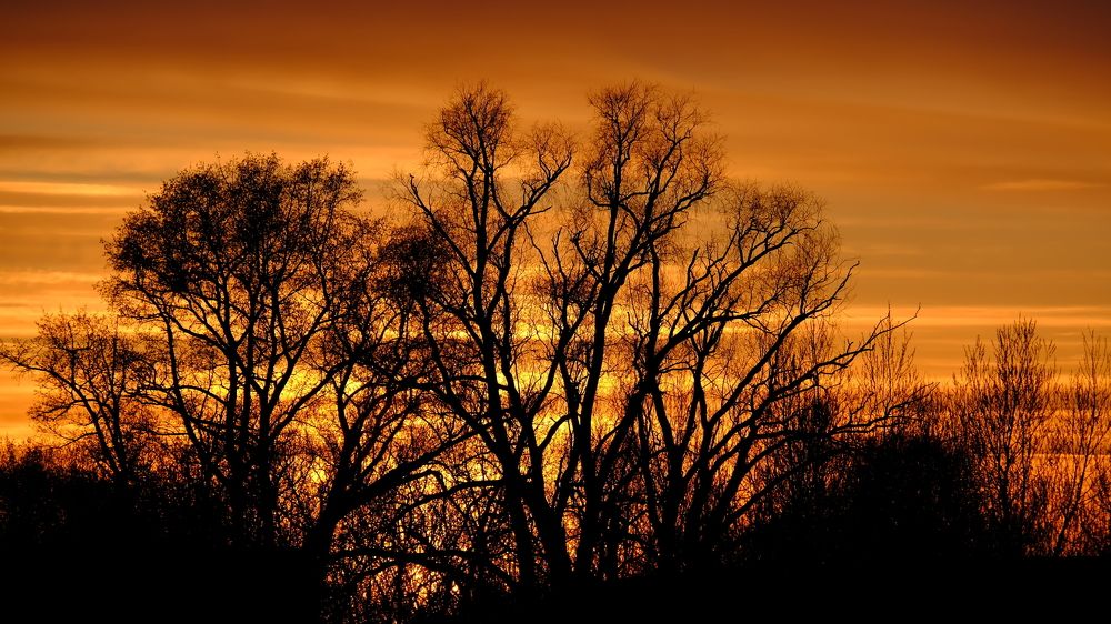 Photograph by Василий Арлашов