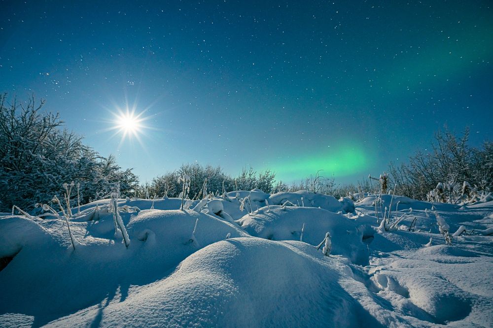 Keep calm and wait for spring