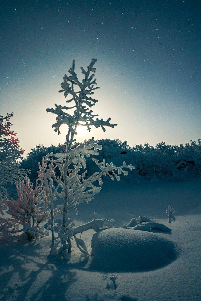 Photograph by Полякова Наталия Григорьевна