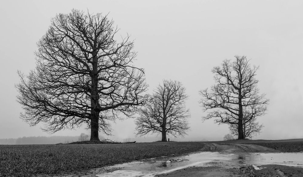 Фотография автора Александр Буренко