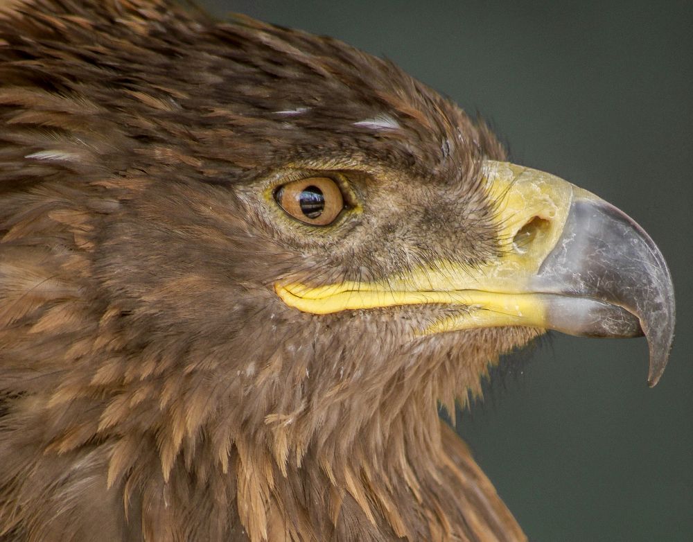 Photograph by Atul mehta