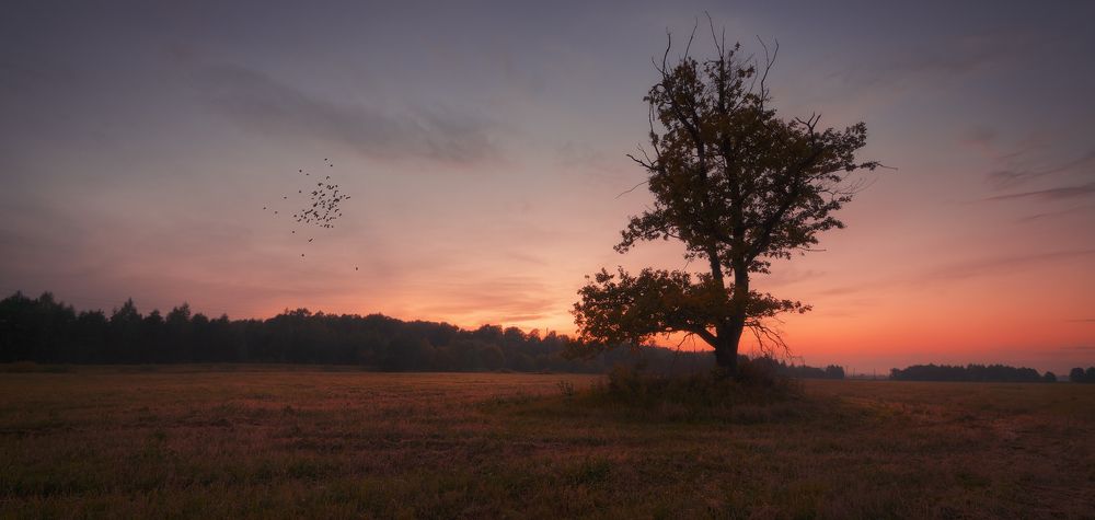 Осенний вечер