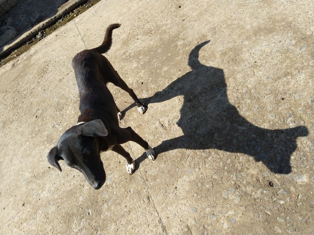 Photograph by sumit sitole