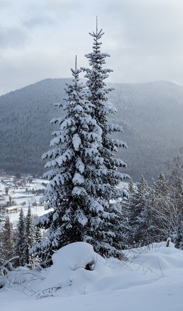 Зима в Сибири