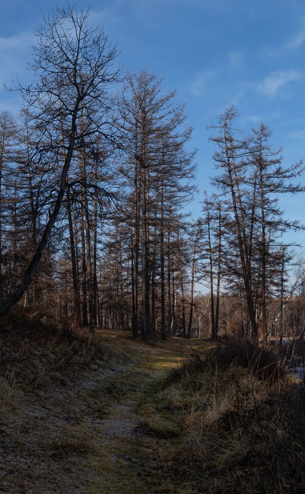 Сказка Баланкуля