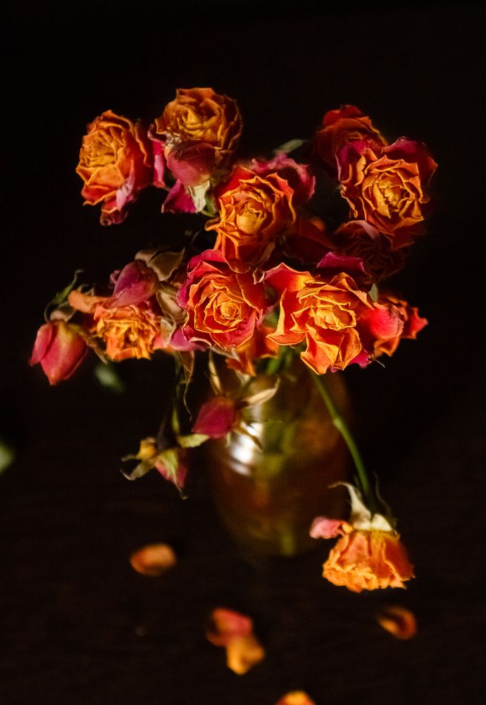 Photograph by Анна Кесарева