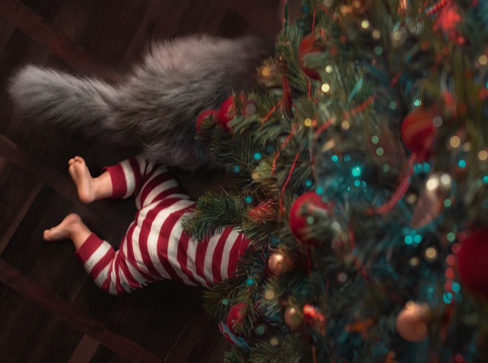 Разграбление ёлки